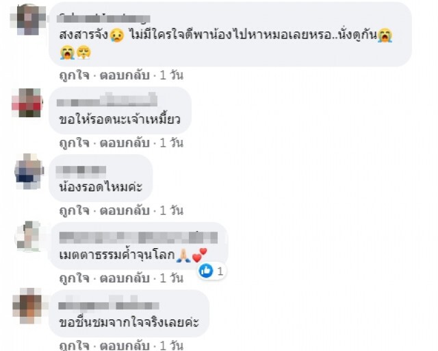 หนุ่มขายโดนัท ปั๊มหัวใจแมวถูกรถชนจะต้องไม่เป็นอะไร