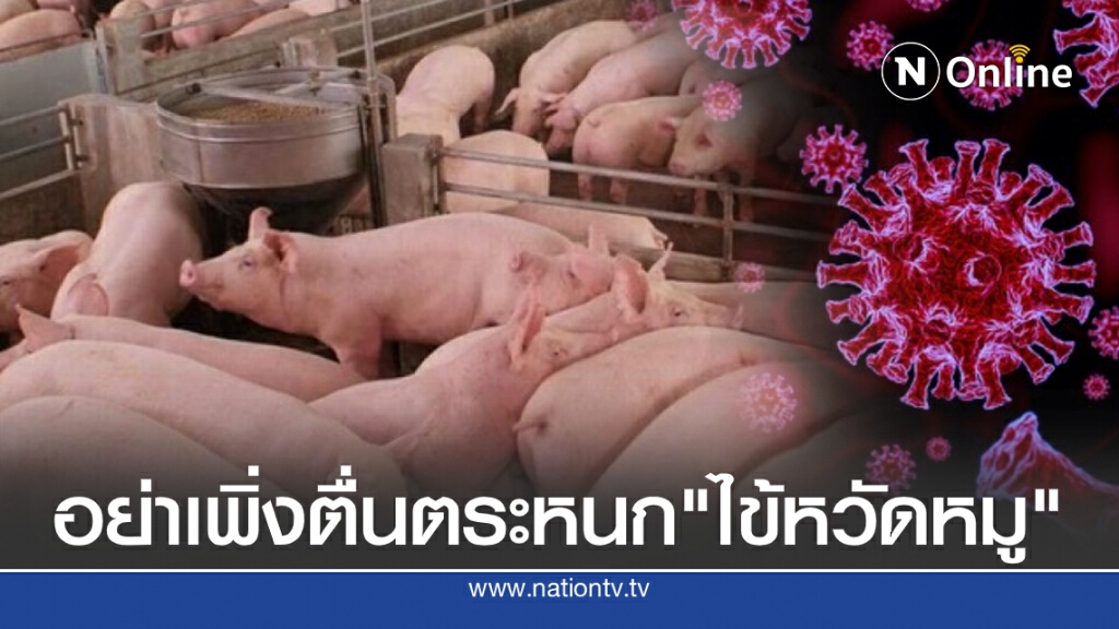 เตือนปชช.อย่าเพิ่งตื่นตระหนก"ไข้หวัดหมู"ชี้ยังไม่ระบาดในคน เตือนปชช.อย่าเพิ่งตื่นตระหนก"ไข้หวัดหมู"ชี้ยังไม่ระบาดในคน