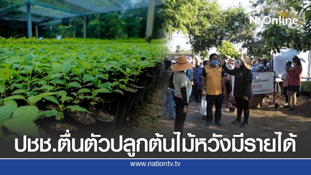 ปชช.ตื่นตัวปลูกต้นไม้ หวังมีรายได้
