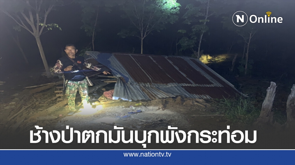 ช้างป่าตกมันบุกพังกระท่อมลุงนอนเฝ้าสวนยางคลานหนีทุลักทุเล ช้างป่าตกมันบุกพังกระท่อมลุงนอนเฝ้าสวนยางคลานหนีทุลักทุเล
