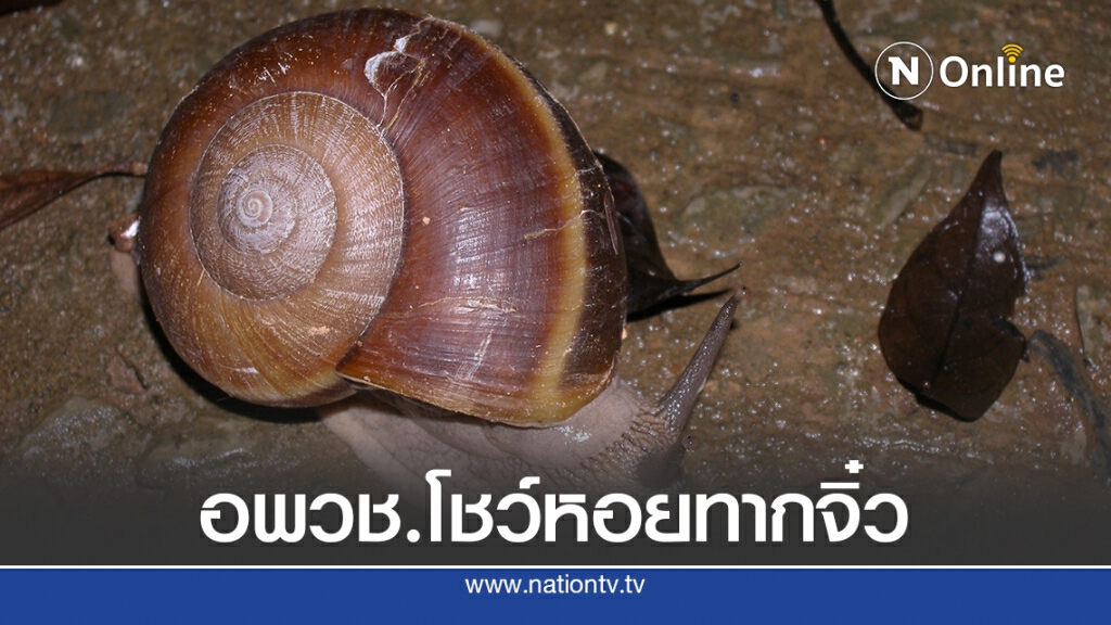 ส่งเสริมการเรียนรู้ผ่านพิพิธภัณฑ์ อพวช.
