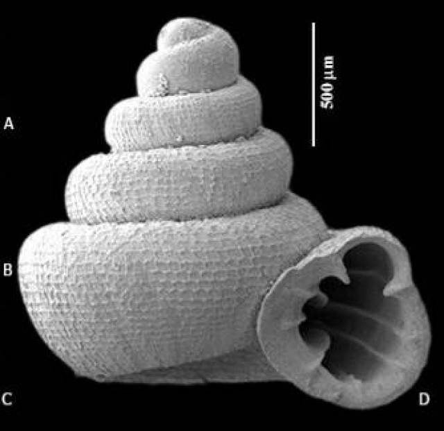 ส่งเสริมการเรียนรู้ผ่านพิพิธภัณฑ์ อพวช.