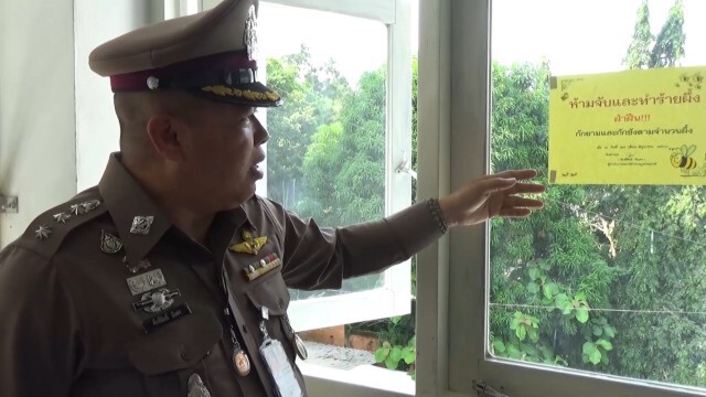 ผกก.สั่งห้ามจับผึ้งบนโรงพัก