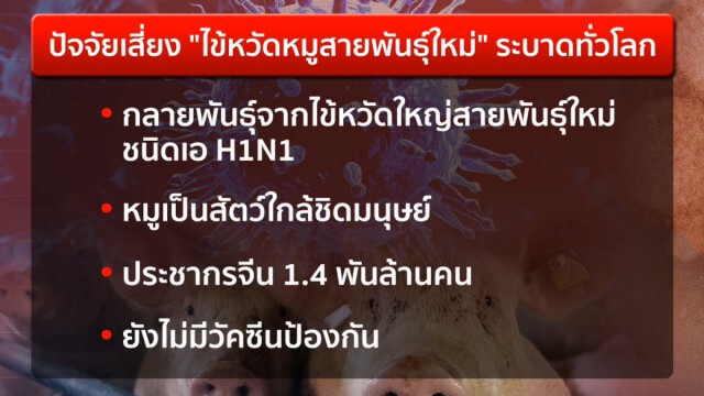4 ปัจจัยเสี่ยง "ไข้หวัดหมูสายพันธุ์ใหม่" จ่อซ้ำเติม โควิด-19