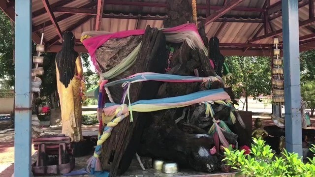 รวมเลขเด็ดโค้งสุดท้าย 1 ก.ค.63