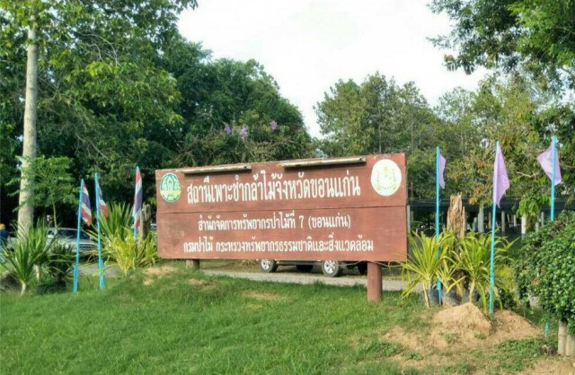 ปชช.ตื่นตัวปลูกต้นไม้ หวังมีรายได้