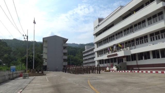 ผกก.สั่งห้ามจับผึ้งบนโรงพัก