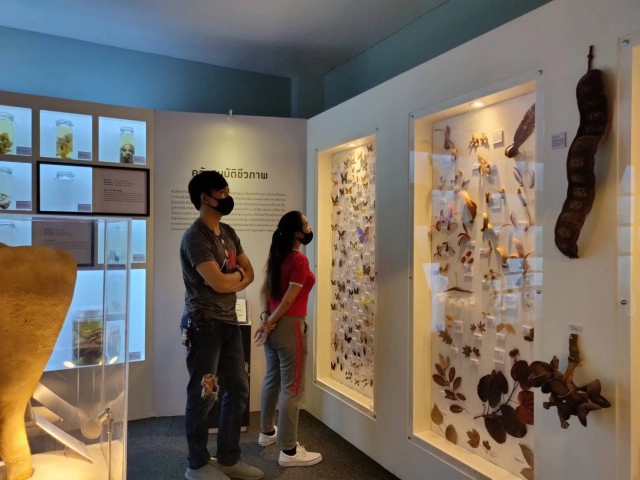 ส่งเสริมการเรียนรู้ผ่านพิพิธภัณฑ์ อพวช.