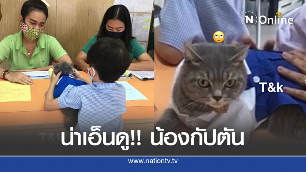 น่าเอ็นดู!! น้องกัปตัน ขอแมวชาคริตไปเรียน วันแรกของการเปิดเทอม