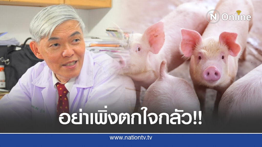 "หมอยง" อธิบายชัด!! อย่าเพิ่งตกใจกลัวงานวิจัยไข้หวัดสายพันธุ์ใหม่ในหมู เพราะยังไม่ระบาดในคน