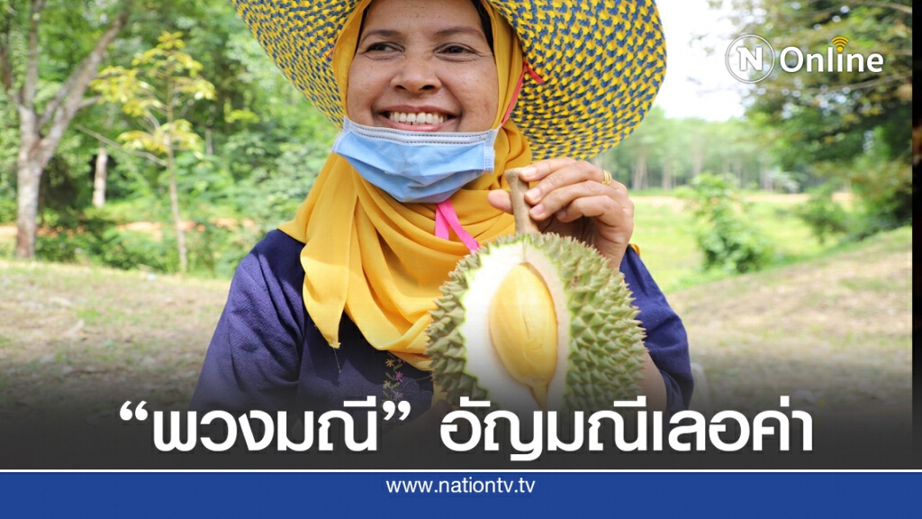 เปิดฤดูกาล ทุเรียนดี พวงมณียะรัง อัญมณีเม็ดงาม