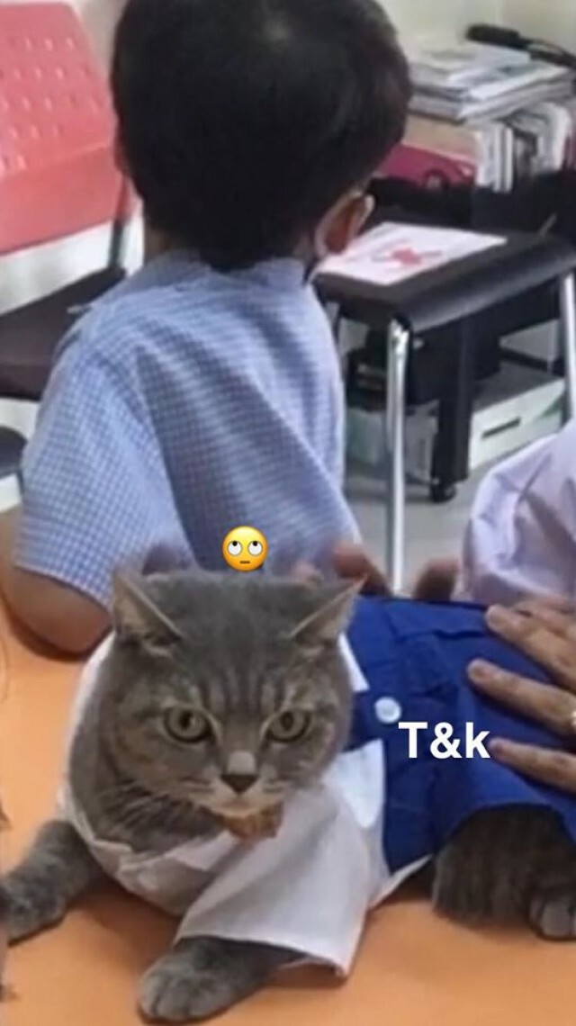 น่าเอ็นดู!! น้องกัปตัน ขอแมวชาคริตไปเรียน วันแรกของการเปิดเทอม