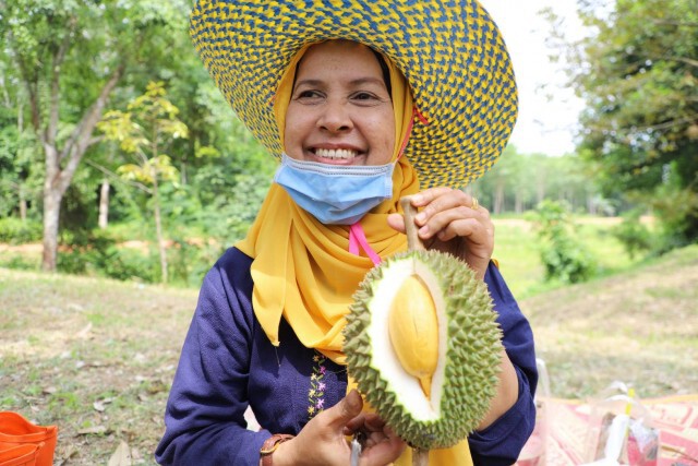 เปิดฤดูกาล ทุเรียนดี พวงมณียะรัง อัญมณีเม็ดงาม