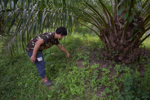 โจรแสบขโมยวัวชน วอนตร. เร่งจับคนร้าย