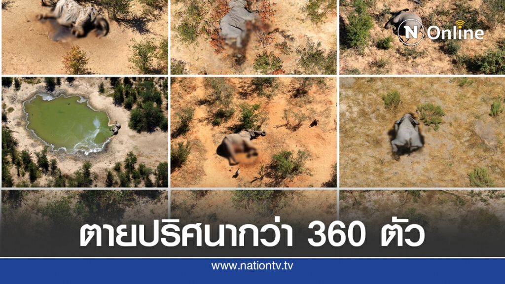 ช้างตายปริศนากว่า 360 ตัว ในบอตสวานา