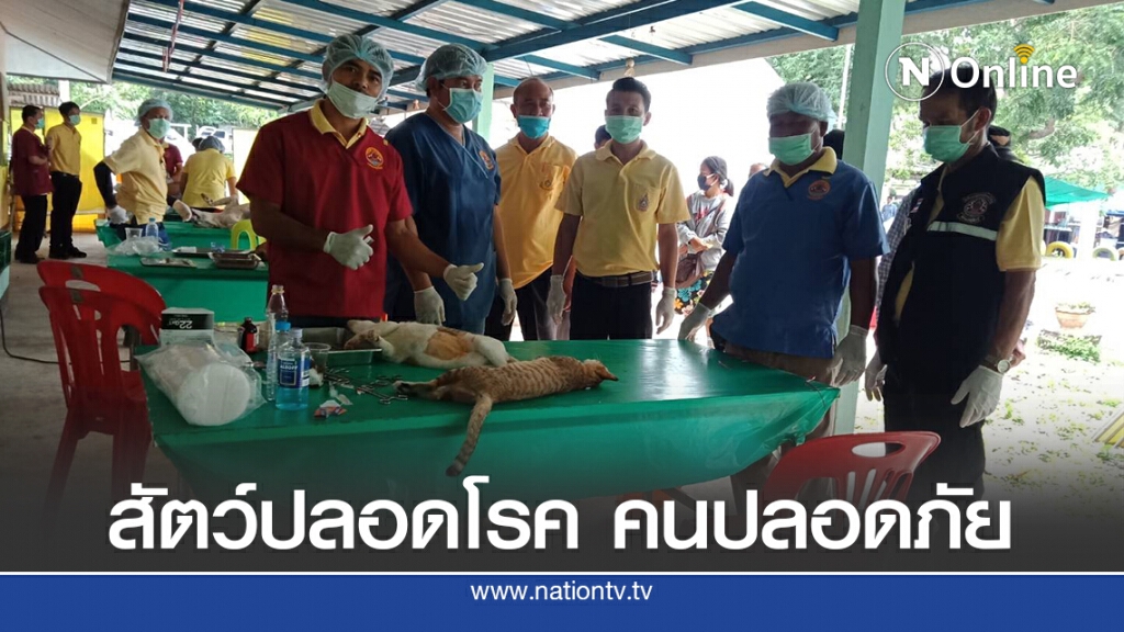 โครงการปศุสัตว์ร่วมใจ กำจัดภัยโรคพิษสุนัขบ้า เพื่อเฉลิมพระเกียรติฯ โครงการปศุสัตว์ร่วมใจ กำจัดภัยโรคพิษสุนัขบ้า เพื่อเฉลิมพระเกียรติฯ
