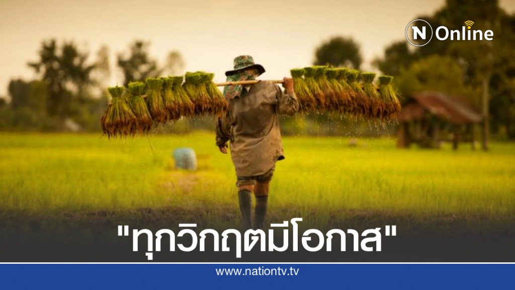 ในวิกฤตยังมีโอกาส! ชาวนาซึ้งลูกค้าช่วยซื้อข้าวจนปลดหนี้สำเร็จ