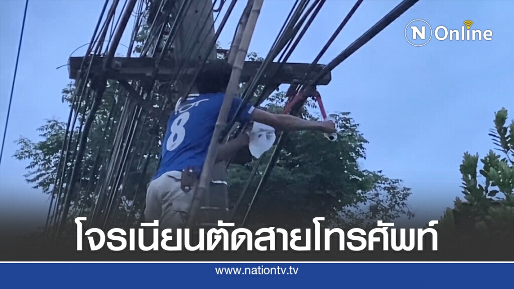 โจรทำเนียนสวมชุดพนักงานทีโอทีปีนบันไดลอบตัดสายเมนโทรศัพท์