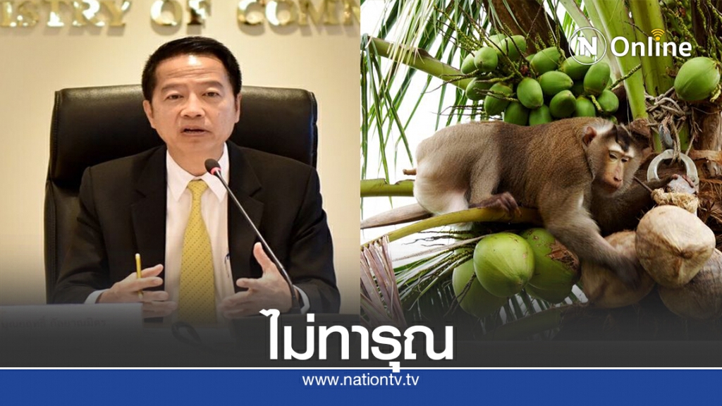 พณ.สั่งทูตเร่งแจงปมใช้ลิงเก็บมะพร้าว พณ.สั่งทูตเร่งแจงปมใช้ลิงเก็บมะพร้าว