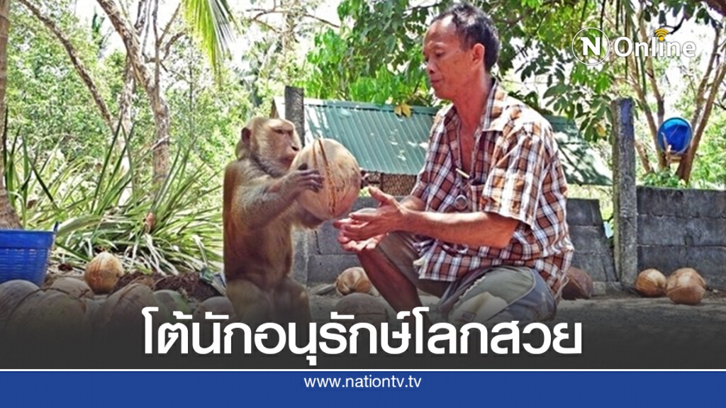 ศูนย์ฝึกลิงสุราษฎร์ โต้นักอนุรักษ์โลกสวย