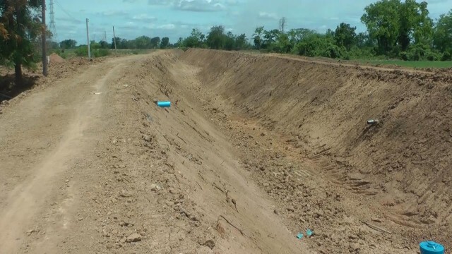 เกษตรกรพิจิตรโอด "ต้นข้าว"รอ "ฝน"