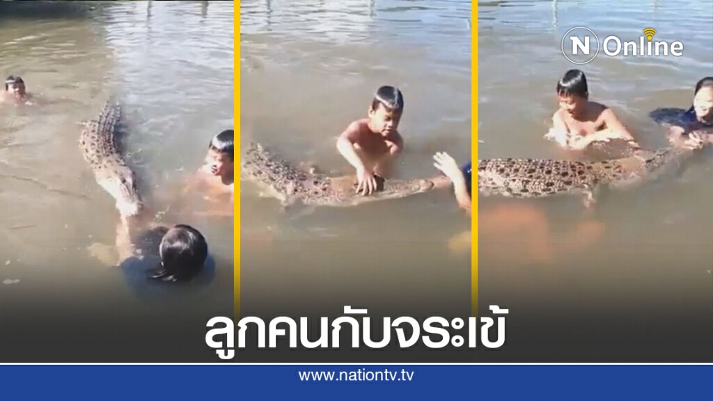 ลูกใครหนอปล่อยให้ล้อเล่นกับจระเข้