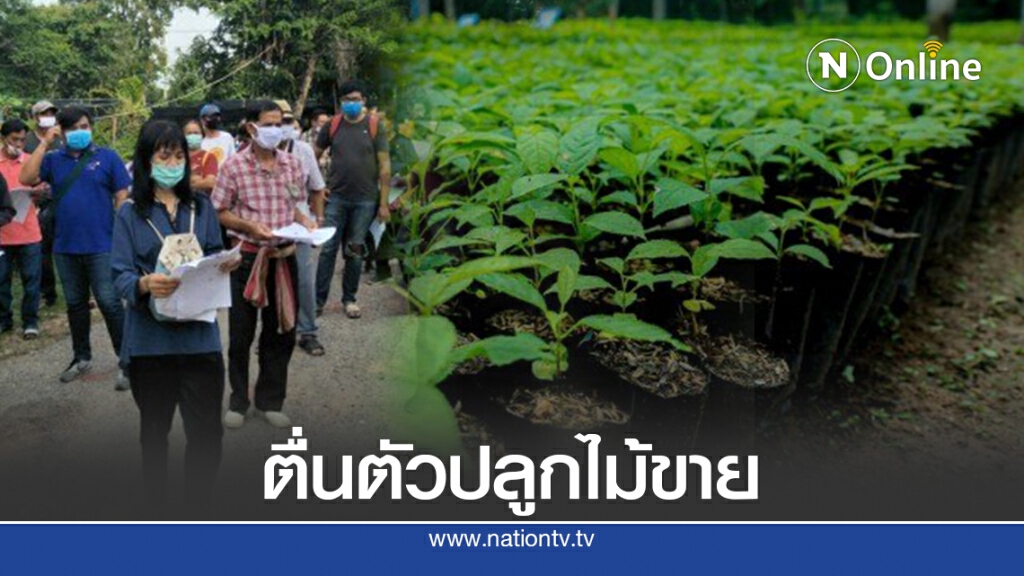 ปชช.ตื่นตัวปลูกต้นไม้ หวังรายได้อนาคต