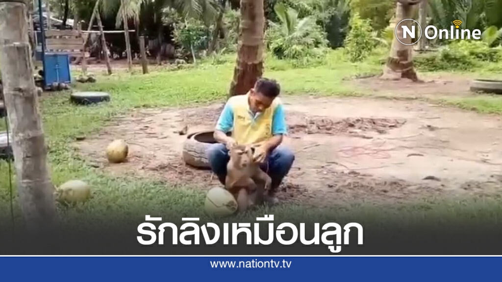 "รักเหมือนลูก" คนเลี้ยงลิงลั่นไม่ได้ทารุณสัตว์ "รักเหมือนลูก" คนเลี้ยงลิงลั่นไม่ได้ทารุณสัตว์