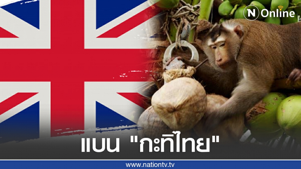 "อังกฤษ" แบน "กะทิไทย" ปมใช้แรงงานลิง!