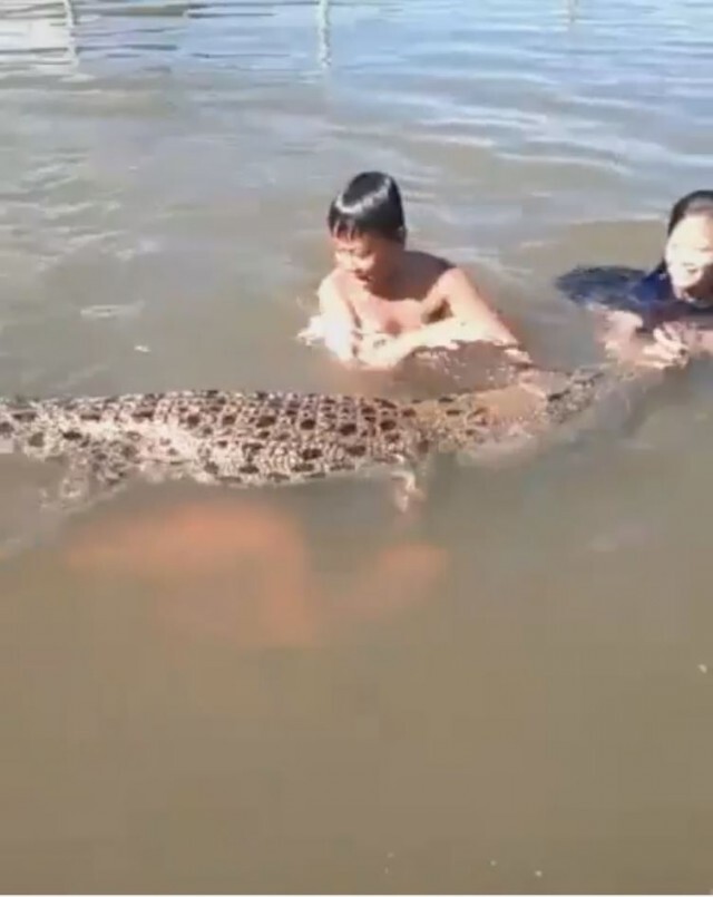 ลูกใครหนอปล่อยให้ล้อเล่นกับจระเข้
