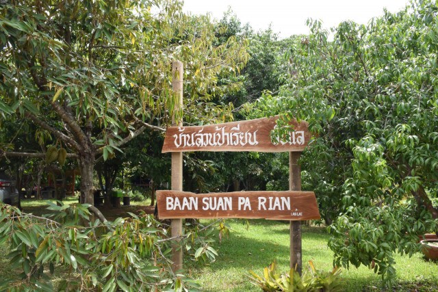สุดคึกคักทุเรียน "หลงลับแล" รุ่นสุดท้าย