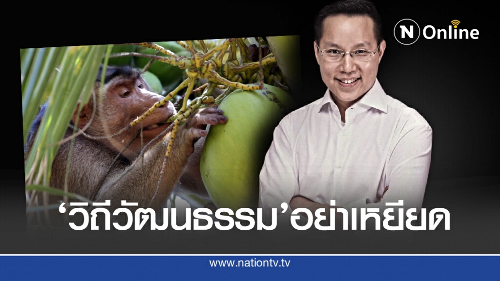 'อรรถวิชช์' ชี้ดราม่าลิงฯ "วิถีวัฒนธรรม"