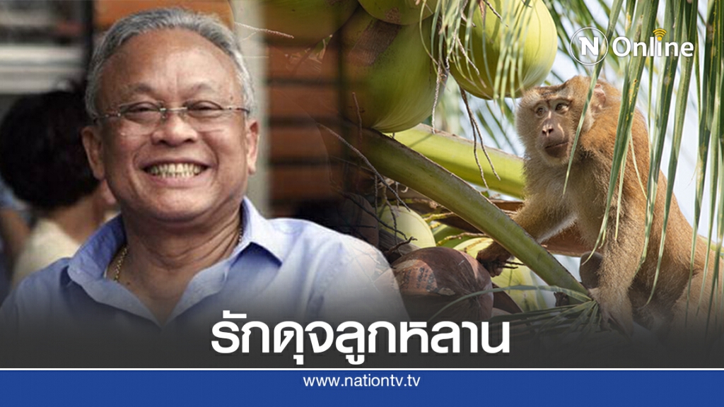 อย่าตกใจปมไทยถูกวิจารณ์ใช้ลิงเก็บมะพร้าว อย่าตกใจปมไทยถูกวิจารณ์ใช้ลิงเก็บมะพร้าว