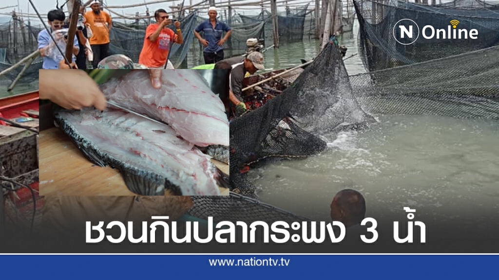 "ปลากะพง 3 น้ำ" สดจากกระชัง หน้าเซ็นทรัลเวิลด์ "ปลากะพง 3 น้ำ" สดจากกระชัง หน้าเซ็นทรัลเวิลด์