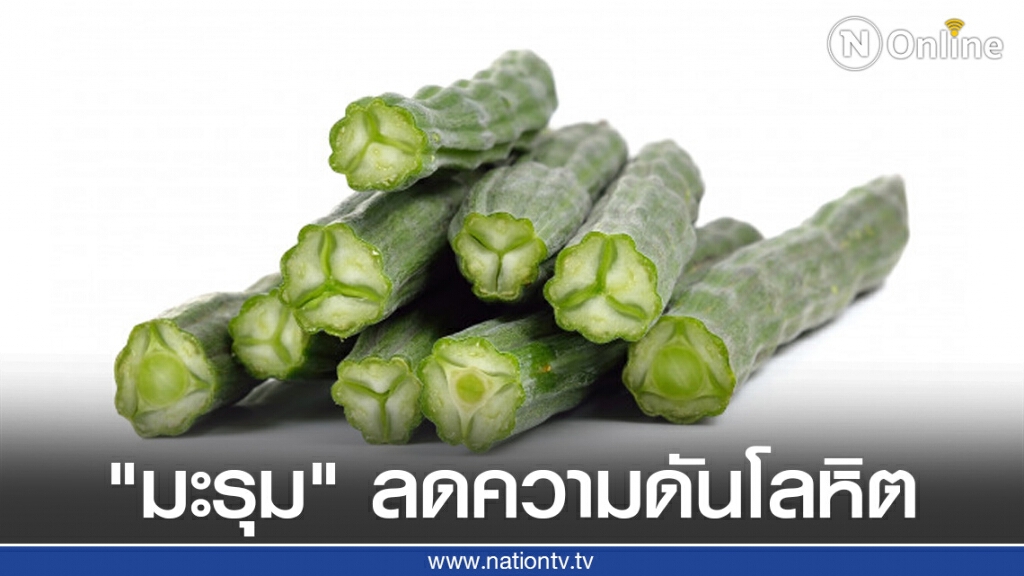 "มะรุม" ผักดีมีประโยชน์สูง ช่วยลดความดันโลหิต