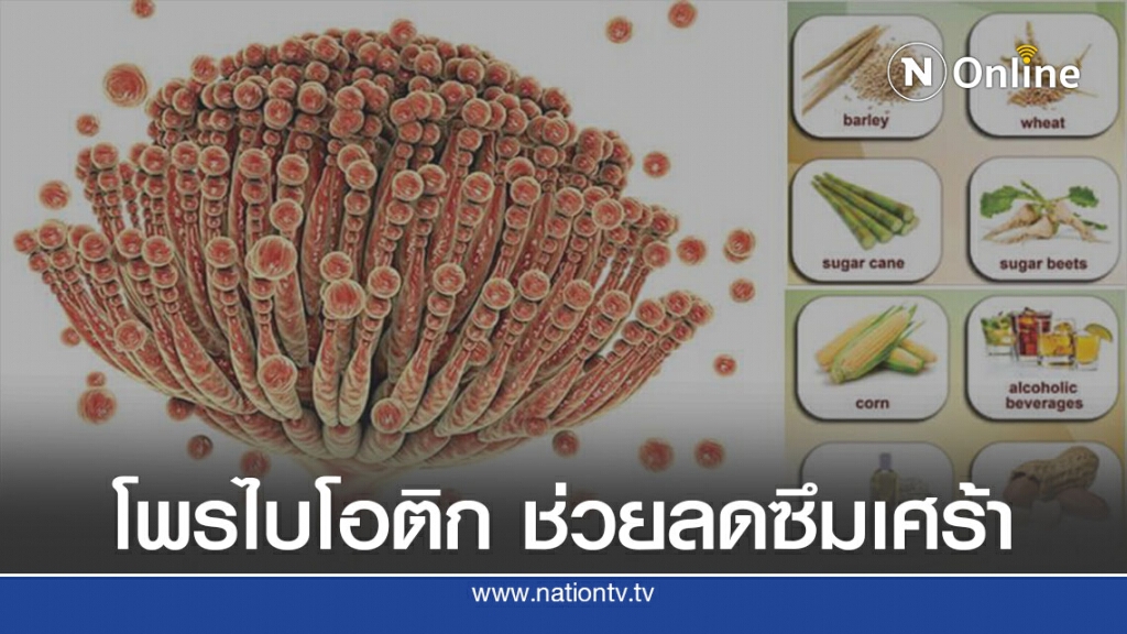 อาหารโพรไบโอติก ช่วยลดอาการซึมเศร้า อาหารโพรไบโอติก ช่วยลดอาการซึมเศร้า