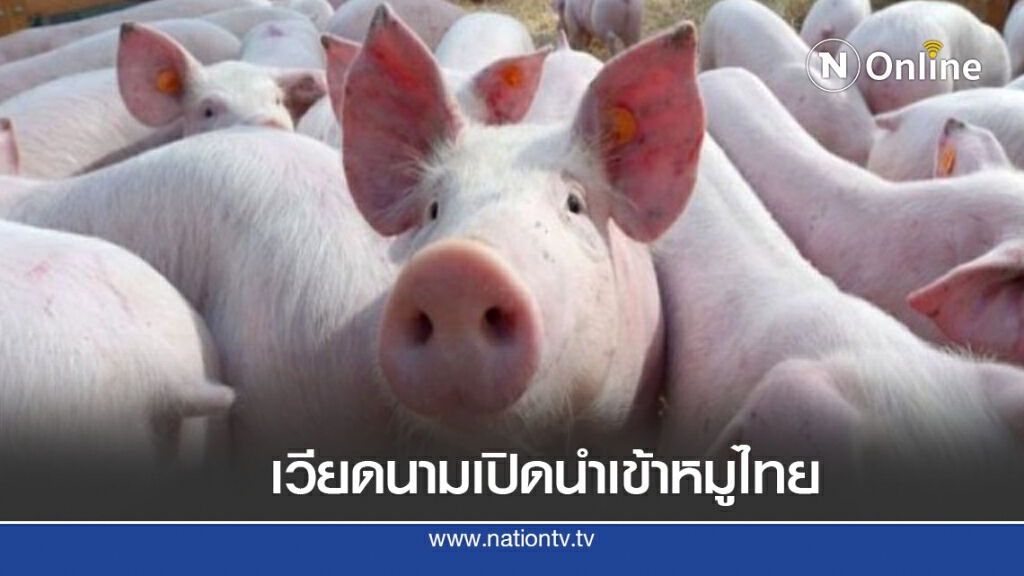 ฟาร์มหมูไทยเฮ!! เวียดนามเปิดนำเข้าเหตุกระทบโควิด