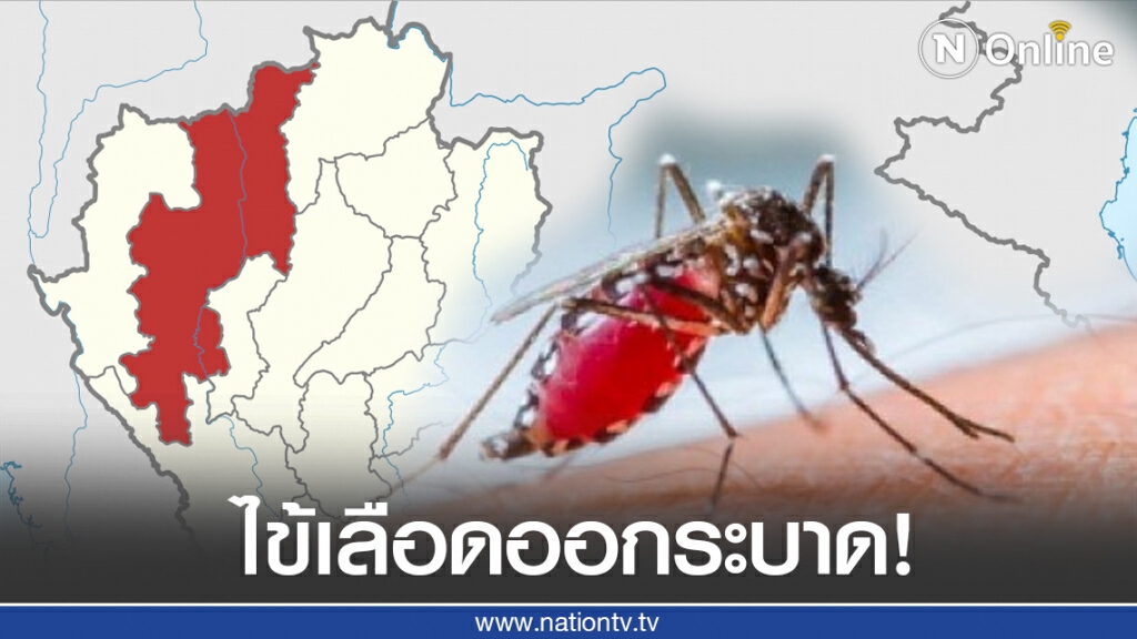 ไข้เลือดออกระบาดเชียงใหม่ ดับแล้ว 1 ป่วยอีก 439 ราย!