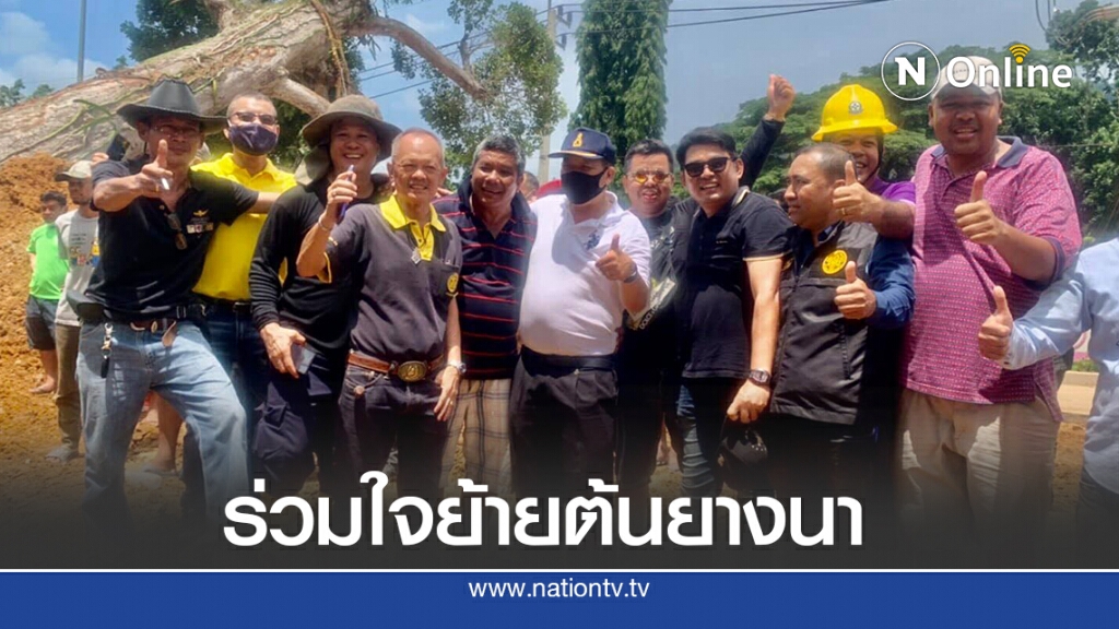 ย้ายต้นยางนา อายุ 300 ปี สำเร็จแล้ว