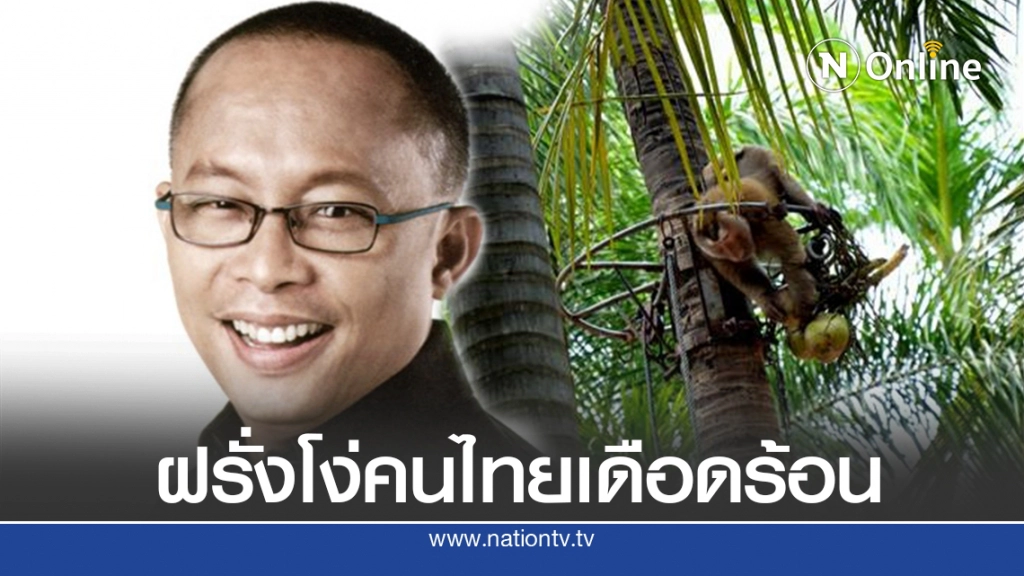 นิติพงษ์จัดนิทานลิงต้นมะพร้าว ฝรั่งโง่ทีไรไทยเดือดร้อนทุกที นิติพงษ์จัดนิทานลิงต้นมะพร้าว ฝรั่งโง่ทีไรไทยเดือดร้อนทุกที