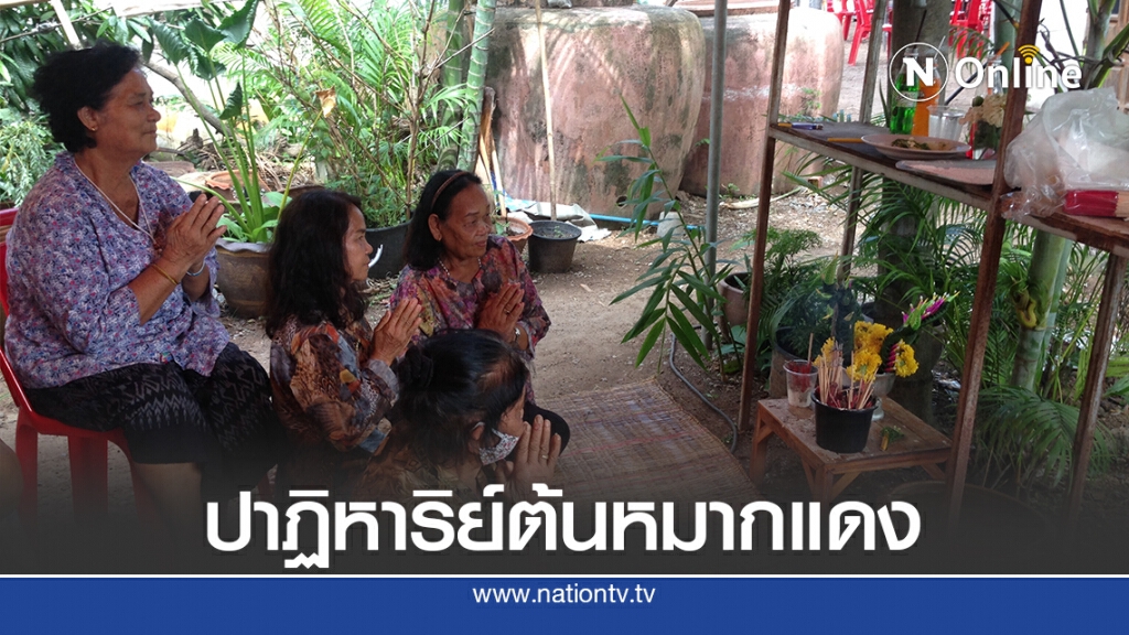 ชาวบ้านจุดธูปบูชาขอโชคลาภ ต้นหมากแดง