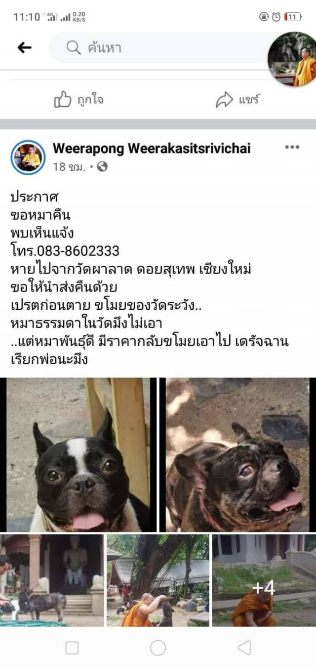 "สาวโรงงาน"โร่แจ้งความถูกโซเซียลรุมด่าขโมยหมา