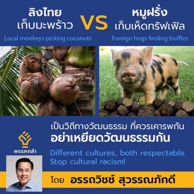 'อรรถวิชช์' ชี้ดราม่าลิงฯ "วิถีวัฒนธรรม"