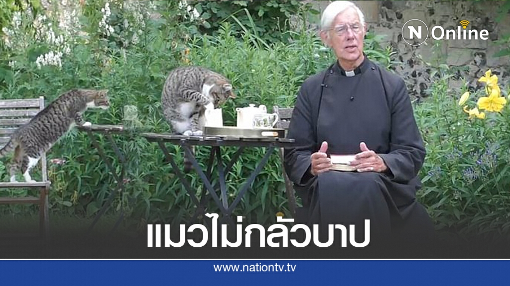 แมวแย่งซีน! กระโดดมาขโมยนม ขณะบาทหลวงเทศน์ออนไลน์ แมวแย่งซีน! กระโดดมาขโมยนม ขณะบาทหลวงเทศน์ออนไลน์