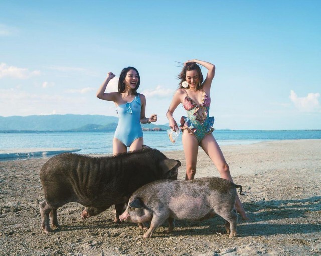 'ดิว อริสรา' ทำสมุยไฟลุกอีกครั้ง โพสต์ชุดว่ายน้ำประชัน 'หมูดัง'