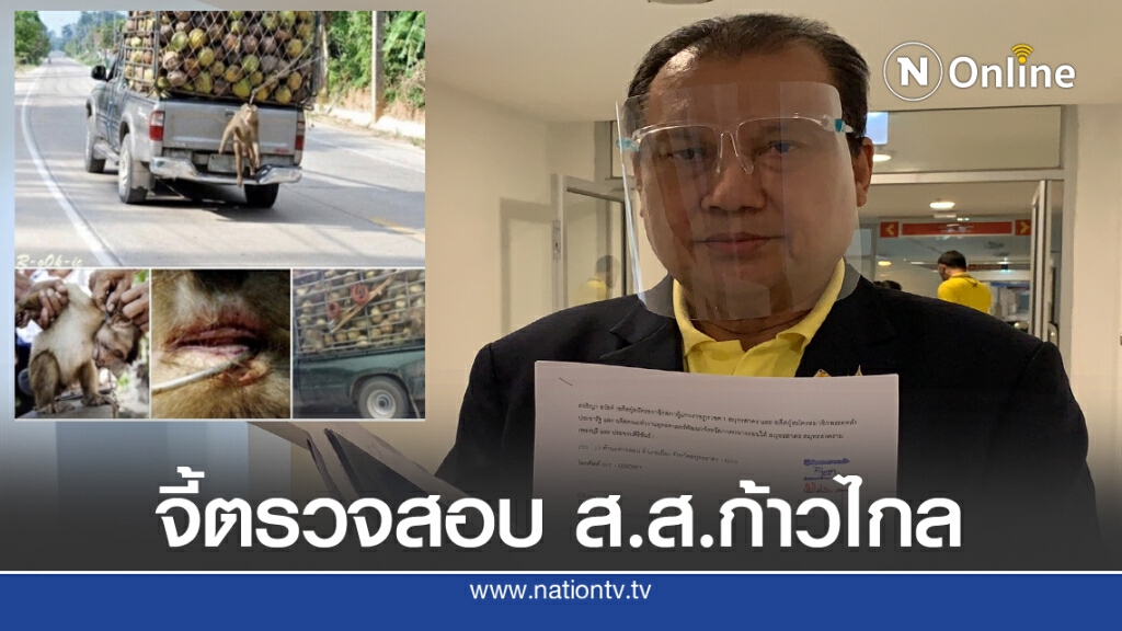โวย สส.ก้าวไกล โพสต์รูป "ลิงอินโดฯ" โยงเก็บมะพร้าวในไทย