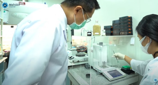 ข่าวดีผลวิจัยเผยกระชายขาว ยับยั้งเชื้อโควิด-19 ได้
