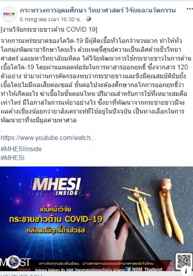 ข่าวดีผลวิจัยเผยกระชายขาว ยับยั้งเชื้อโควิด-19 ได้