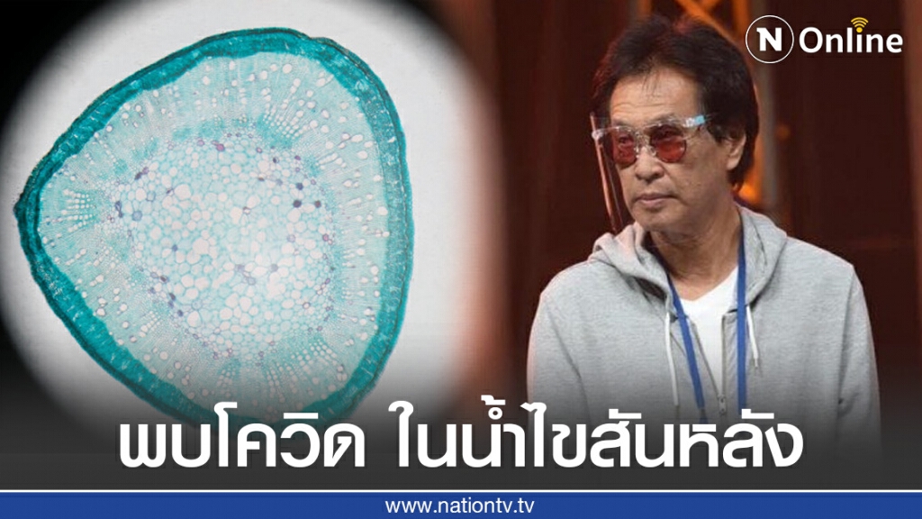 พบอาการโควิด-19 นอกมาตรฐาน-พบเชื้อในน้ำไขสันหลัง
