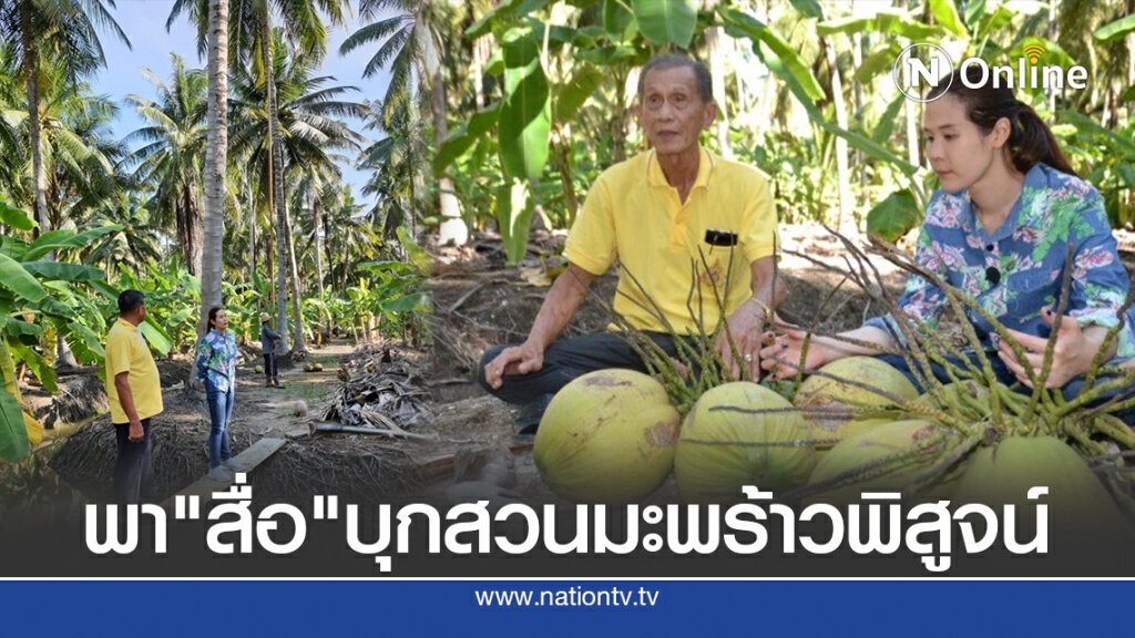 "กุลวดี"พาสื่อบุกสวนมะพร้าวพิสูจน์การเก็บ